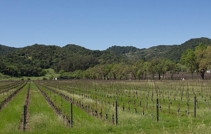 Napa Valley: Wine Tasting Tour by Open Air Trolley & Lunch - A closer look at the possible winery choices
