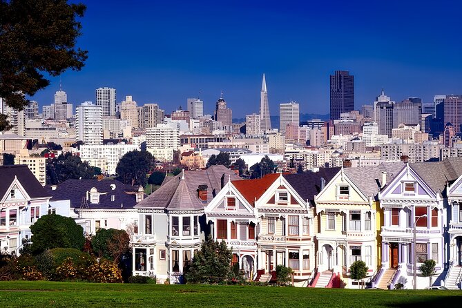 Nearly Private San Francisco Tour Including Sausalito - Yoda, Lucasfilm, and the Presidio