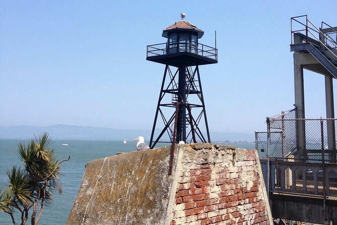 Official Alcatraz Tour with Golden Gate Bridge Bay Cruise - Who will enjoy this Alcatraz and bay combination?