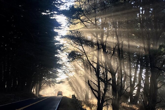 Picture your best SF tour ever! (Epic Bay Area photo adventures) - Twin Peaks and the full Bay Area view