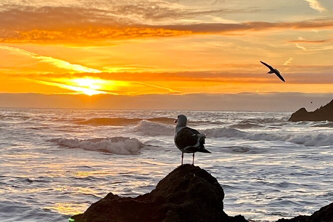 Picture your best SF tour ever! (Epic Bay Area photo adventures) - Starting at the Golden Gate Bridge