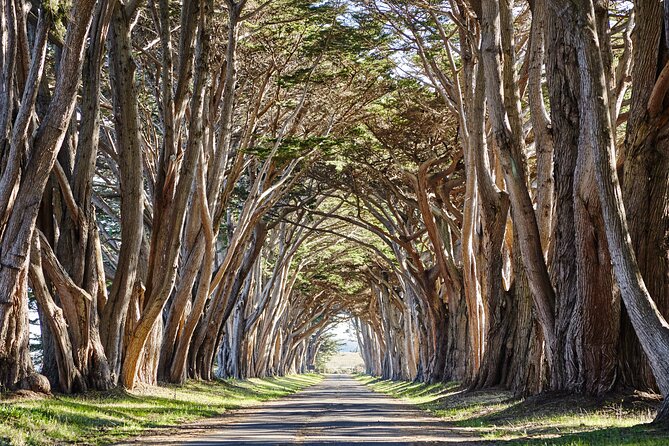 Point Reyes National Seashore Self Guided Driving Audio Tour - Tomales Point and Drakes Estero