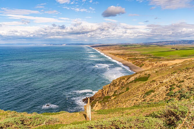 Point Reyes National Seashore Self Guided Driving Audio Tour - Elephant seals, sea lions, and coastal wildlife