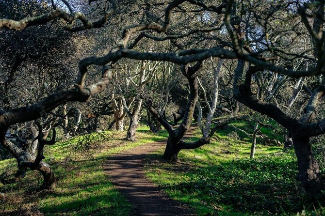 Private City Kickstart Tour:The Castro & Mission District - Who will get the most from this walk