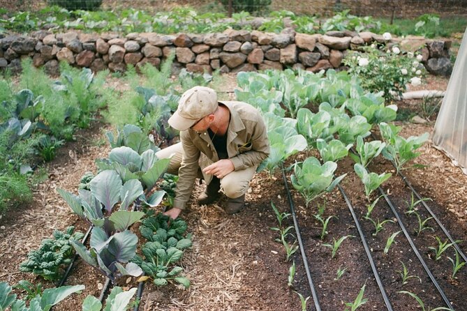 Private Farm Workshop in Napa Valley - What the private format is worth