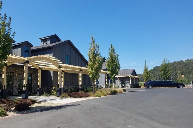 Private Full-Day Napa Wine Tour in a Luxury Vehicle - Planning the route around appointments