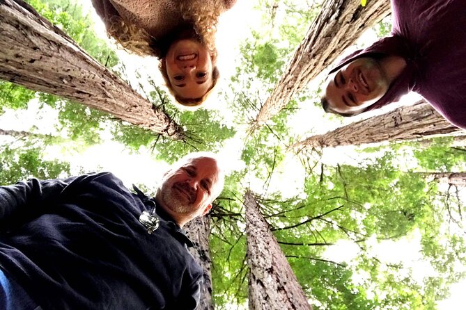 Private Full-Day San Francisco City Tour with Muir Woods (Max 6) - Key points to know before booking