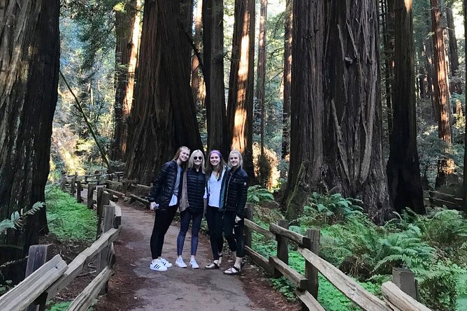 Private Full-Day San Francisco City Tour with Muir Woods (Max 6) - Marina, Fisherman’s Wharf, and the Presidio