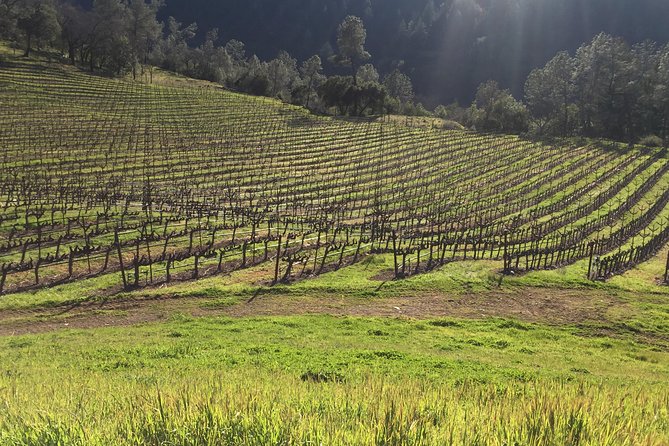 Private Group Wine Tour of Napa and Sonoma - Why this private wine tour works for groups