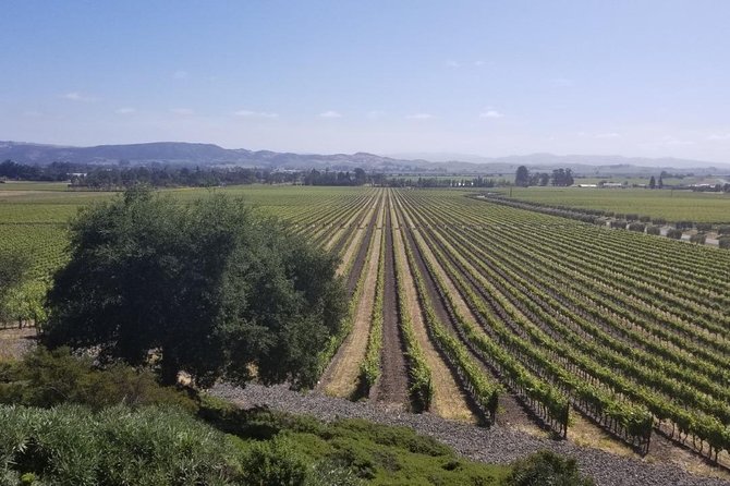 Private Group Wine Tour of Napa and Sonoma - Viansa or Jacuzzi: your first Sonoma tasting