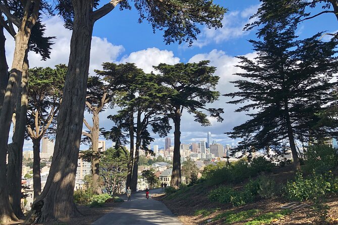Private Guided Tour in San Francisco - Golden Gate Park, reached on foot