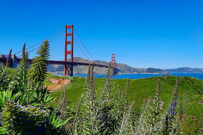 Private Guided Tour in San Francisco - Who will enjoy this private format