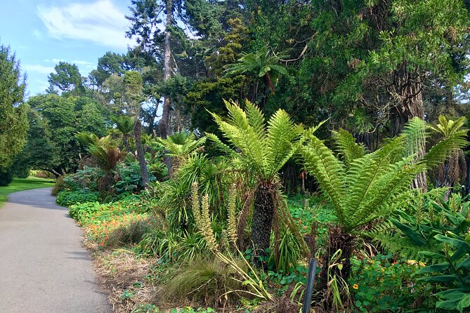 Private Guided Tour in San Francisco - Practical details that shape the day