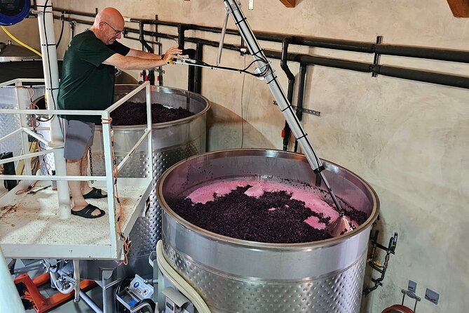 Private Guided Wine Tour of Napa Valley - How six hours usually takes shape
