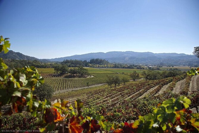 Private Limo Wine Tours in Sonoma and Napa Valley - What to budget beyond the car
