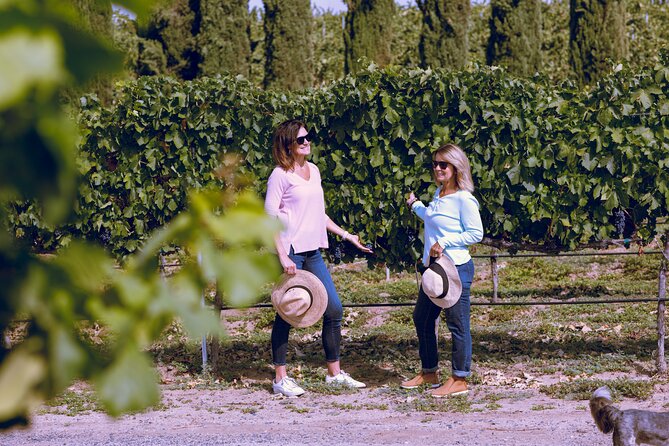 PRIVATE Luxury Transportation Experience - Napa - Key points at a glance