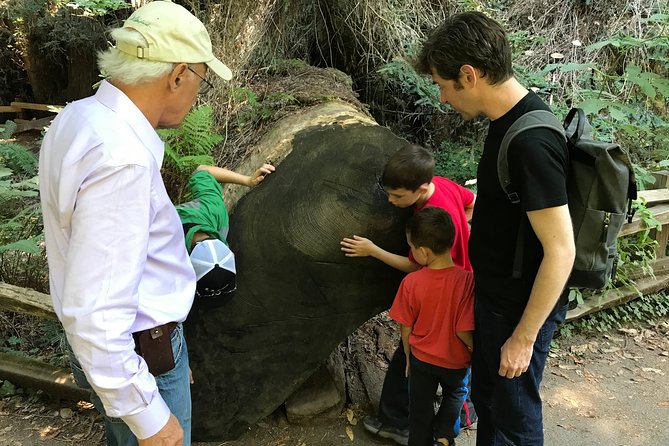 Private Muir Woods and Sausalito Half Day Tour - Why this half-day escape works from San Francisco