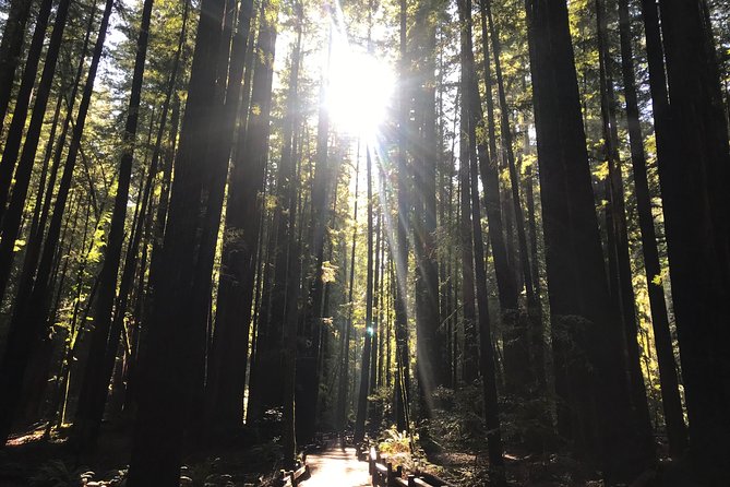 Private Muir Woods and Sausalito Half Day Tour - Is $699 a fair price for a private group?
