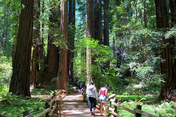 Private Muir Woods Tour + Golden Gate Bridge Stops (3 Hrs, Max 6) - From Fisherman’s Wharf to the Presidio