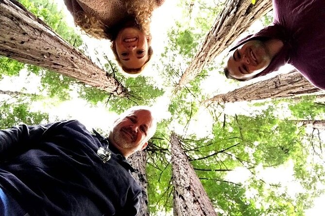 Private Muir Woods Tour + Golden Gate Bridge Stops (3 Hrs, Max 6) - Marin Headlands viewpoints