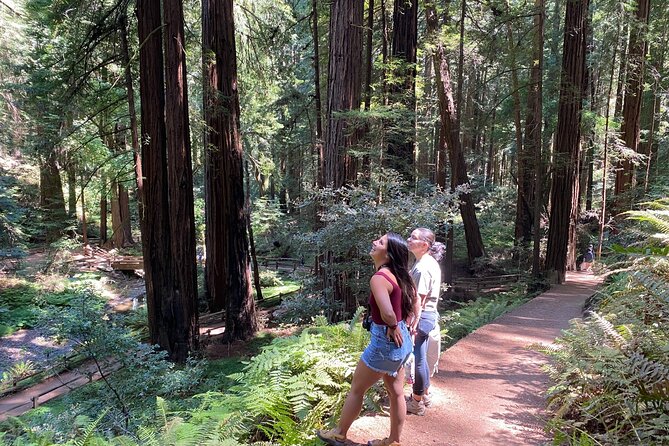 Private Muir Woods Tour + Golden Gate Bridge Stops (3 Hrs, Max 6) - Sausalito and the optional ferry ride