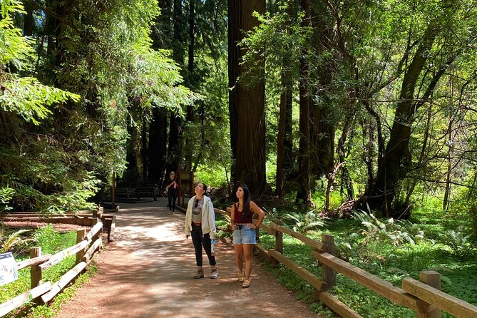 Private Muir Woods Tour + Golden Gate Bridge Stops (3 Hrs, Max 6) - Seating, weather, and family comfort