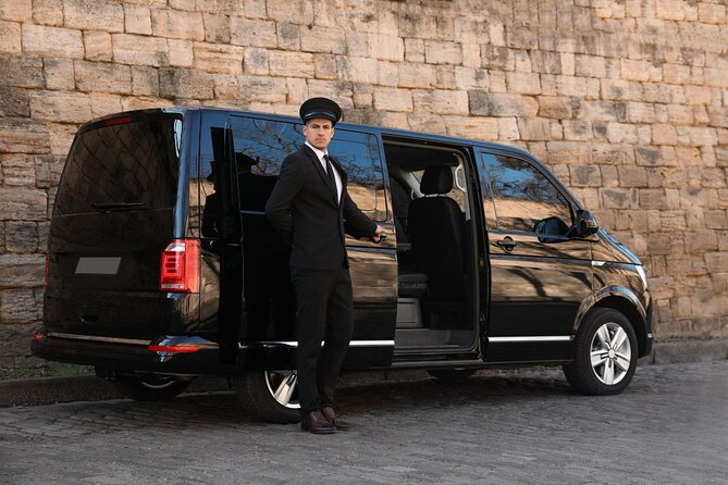 Private One-way Transfer San Francisco Airport To San Francisco - Choosing between a sedan, minivan, and large minibus