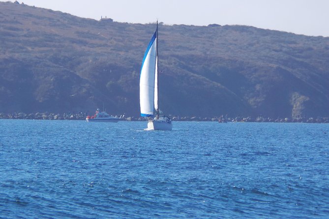 Private Sailing Tour of Bodega Bay - Key points to know before you book