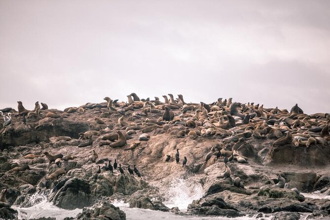 Private Sailing Tour of Bodega Bay - Why the six-person limit matters