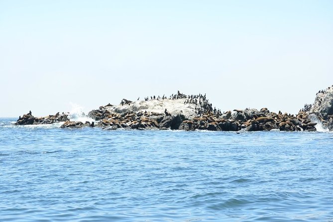 Private Sailing Tour of Bodega Bay - Crossing the outer bay