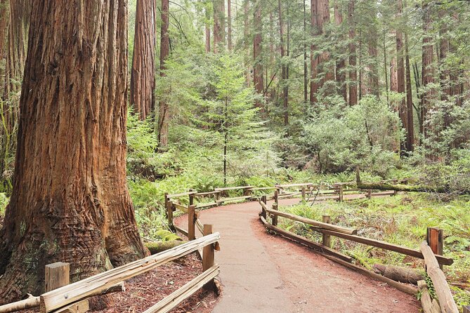 Private San Francisco City Tour and Muir Woods with Sausalito - Palace of Fine Arts and Twin Peaks