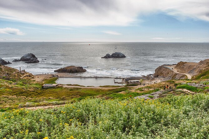Private San Francisco City Tour and Muir Woods with Sausalito - What the private coach adds, and what it does not