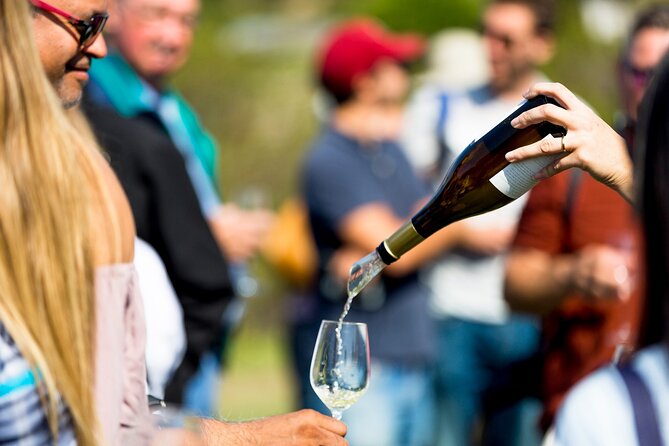 Private Tour: Napa and Sonoma Wine Country - The final winery and the value of contrast