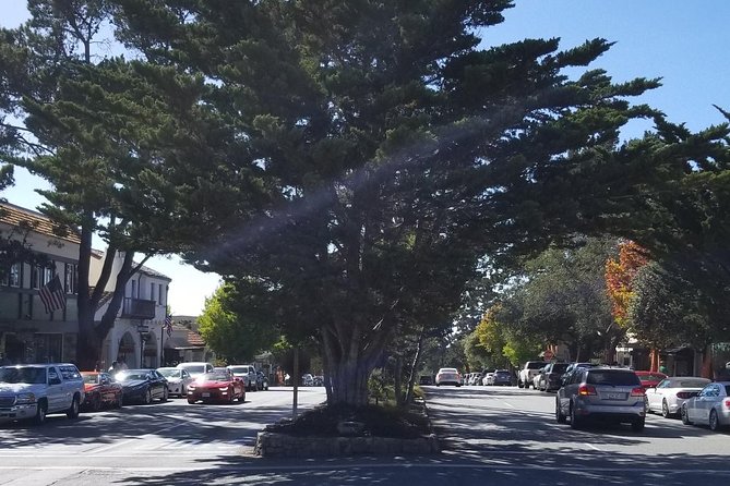Private Tour to Monterey, Carmel, 17-Mile Drive, Pebble Beach - Monterey Bay, up to three useful hours