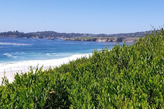 Private Tour to Monterey, Carmel, 17-Mile Drive, Pebble Beach - What the private guide adds
