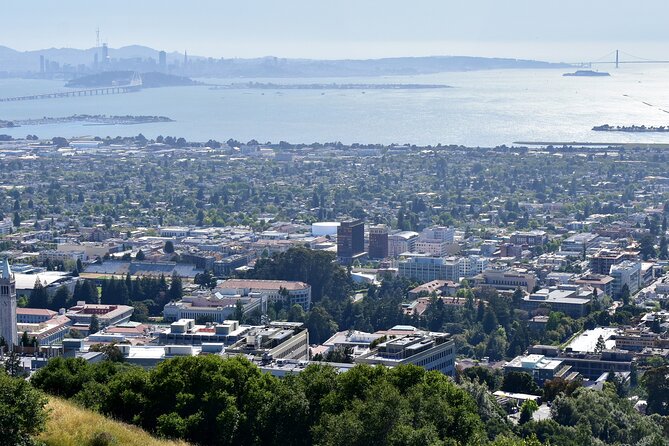 Private Walking Berkeley: Personalized Self-Guided App Tour - Doe Library, elegance with a short visit