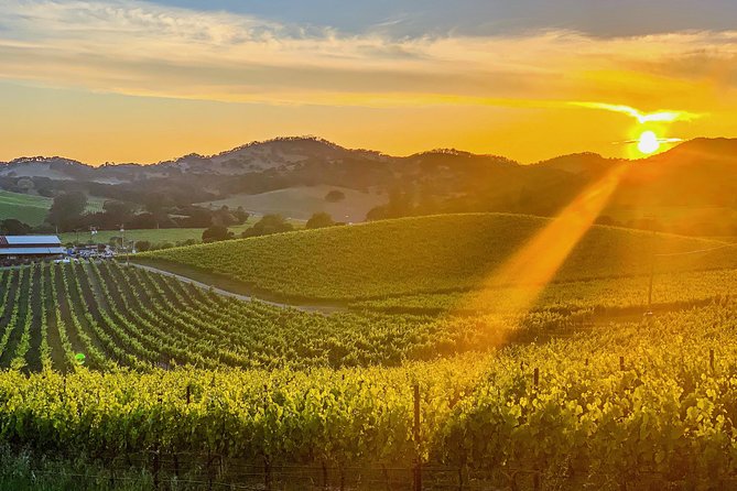 Private Wine Country Tour Including Photography Services - Key points to know before booking