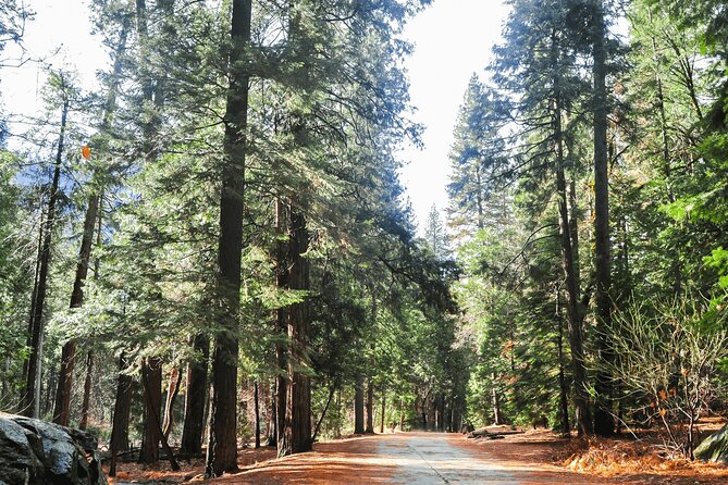 Private Yosemite National Park Day Trip from San Francisco - One guided hour through Yosemite Valley