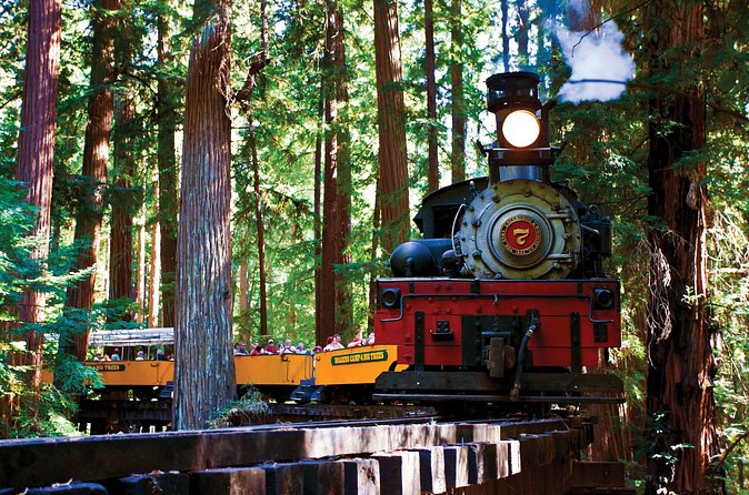 Redwood Forest, Santa Cruz Harbor 1-Day Trip from San Francisco - What to bring and how to prepare