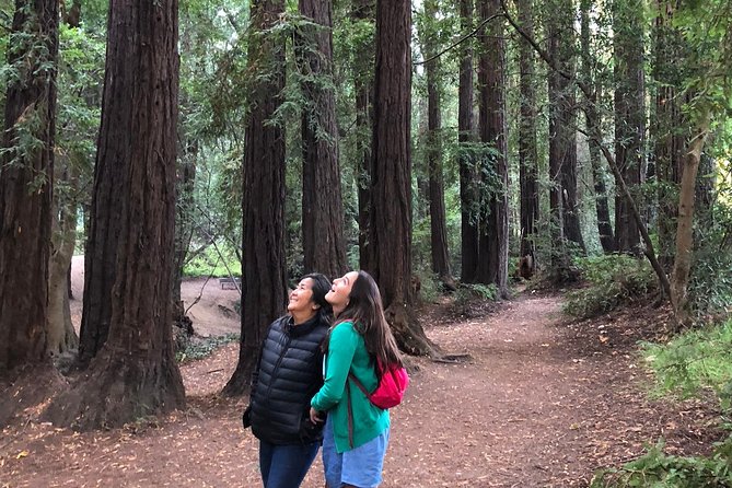 Redwoods of Marin and Mt. Tamalpais Walking Tour with Local Guide - Value, inclusions, and what you pay for