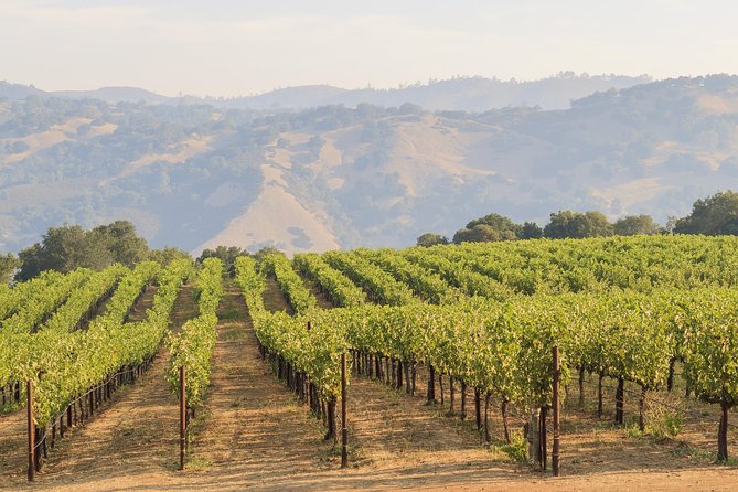 Russian River Weekend Wine Tasting & Gourmet Lunch - The four-course lunch at Kendall-Jackson
