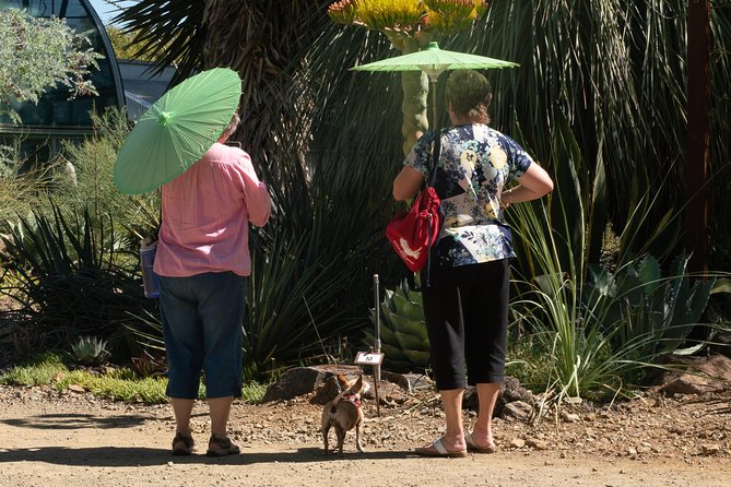 Ruth Bancroft Garden General Admission Ticket - Access, paths, parking, and dogs