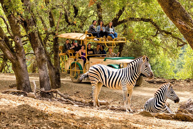 Safari West Sonoma Adventure Tour - Giraffes, buffalo, zebras, and antelope