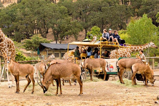 Safari West Sonoma Adventure Tour - Fitting Safari West into wine country