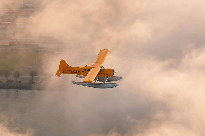 San Francisco 1-Hour Seaplane Tour - San Francisco landmarks from the air