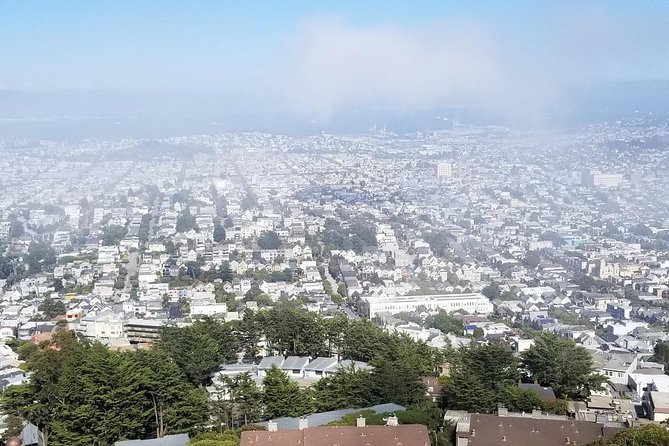 San Francisco Afternoon City Tour Small-Group Half-Day - Haight-Ashbury, famous homes, and the city’s counterculture
