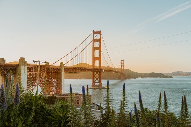 San Francisco Airport Transfer to SFO City (Special Offer) - Landing at SFO and finding your ride