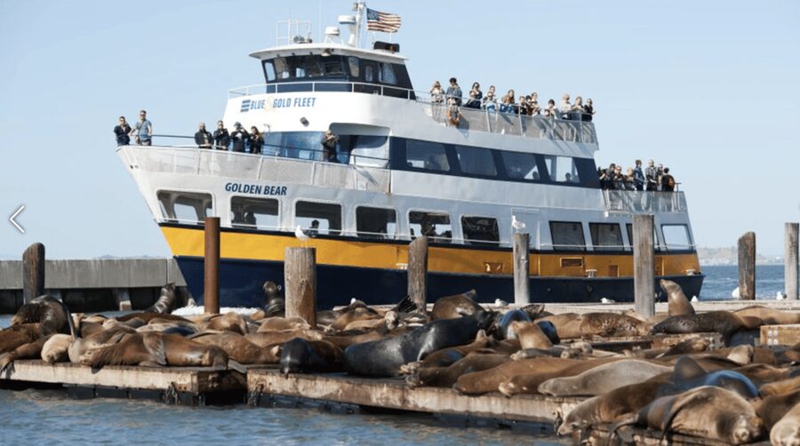 San Francisco: Alcatraz Island Prison Tour with Bay Cruise - Who will enjoy this combination most?