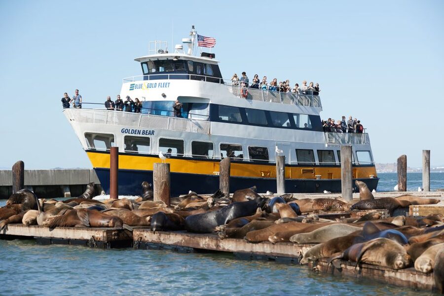 San Francisco: Alcatraz with San Francisco Bay Cruise - Key points to know before you book