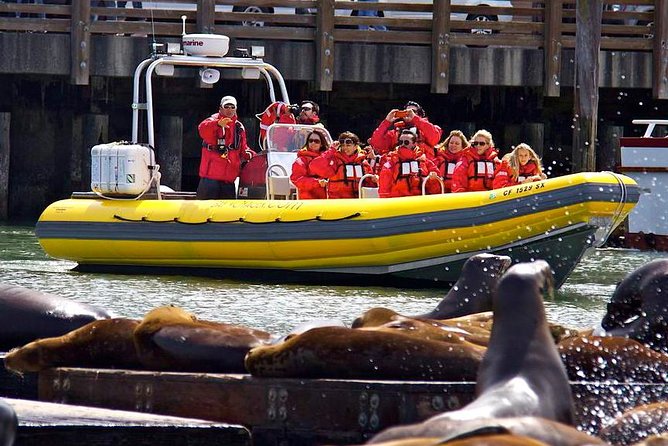 San Francisco Bay Adventure Sightseeing Cruise - The Golden Gate Bridge from below